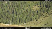Archiviertes Webcam Bild: Malga Tognola am 28.05.2026 um 08:41 Uhr