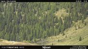 Archiviertes Webcam Bild: Malga Tognola am 29.05.2026 um 12:22 Uhr