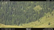 Archived webcam image showing Malga Tognola on 2 Aug 2026 at 12:55