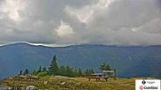 Archiviertes Webcam Bild: Gipfel Wildcat Mountain am 26.08.2026 um 22:55 Uhr