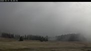 Archiviertes Webcam Bild: Langlauf Plateau Arselle am 11.10.2026 um 14:18 Uhr