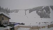 Archived webcam image showing Marmot Basin - Mid Mountain on 28 Mar 2026 at 18:37