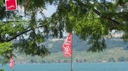 Archived webcam image showing Murten - Lake Morat on 24 Jun 2026 at 12:45