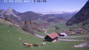 Archiviertes Webcam Bild: Webcam in Eschi - Boltigen mit Blick ins Berner Oberland am 15.04.2026 um 12:08 Uhr