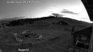Archived webcam image showing "Altes Almhaus" tavern on 12 Jun 2026 at 04:00