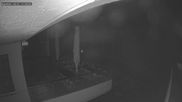 Archiviertes Webcam Bild: Bergstation Rigi-Kulm - Rigi Bistro am 11.10.2026 um 00:43 Uhr