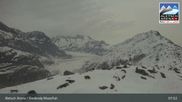 Archiviertes Webcam Bild: Aletsch Arena: Riederalp Moosfluh am 12.04.2026 um 08:50 Uhr