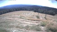 Archiviertes Webcam Bild: Bergstation Kandel am 12.07.2026 um 10:21 Uhr