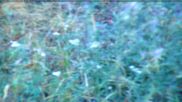 Archived webcam image showing Valley station of the Chabrières chair lift on 20 Aug 2026 at 07:23