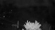 Archived webcam image showing Plan de Gralba - Wolkenstein on 2 Aug 2026 at 02:05