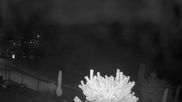 Archived webcam image showing Plan de Gralba - Wolkenstein on 4 Aug 2026 at 00:12
