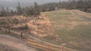 Archived webcam image showing Silbersattel Steinach - Bergstation 842m a.s.l. on 1 Aug 2026 at 07:06