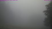 Archiviertes Webcam Bild: Großer Inselsberg am 26.08.2026 um 12:13 Uhr