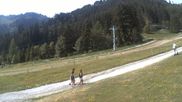 Archived webcam image showing Moléson - 1100 m a.s.l. on 13 Jul 2026 at 10:56