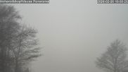 Archiviertes Webcam Bild: Hoherodskopfklause, Vogelsberg am 26 Feb 2026 um 10:57 Uhr