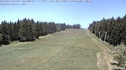 Archiviertes Webcam Bild: Bühlertallift Hundseck Blick auf die Piste am 29.05.2026 um 14:55 Uhr