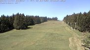 Archiviertes Webcam Bild: Bühlertallift Hundseck Blick auf die Piste am 29.05.2026 um 16:55 Uhr