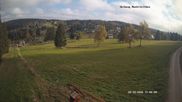 Archived webcam image showing Skilift Mühlleiten on 20 Oct 2026 at 12:02