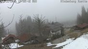 Archived webcam image showing Reit im Winkl - View Hindenburghütte on 12 Apr 2026 at 20:19