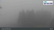 Archived webcam image showing Martinky, Winter Park on 12 May 2026 at 09:56