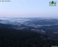 Tree Walk in Sankt Englmar
