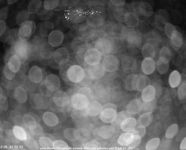 Augustusburg: Skipiste