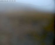 Roundhill - Seeblick