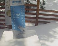 Snow Stake Vail