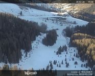 View of the Piavac slope, Alpe Lusia