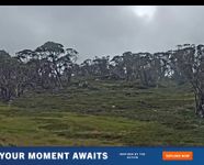 Perisher: Happy Valley T-bar
