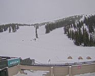 Marmot Basin: Mid Mountain