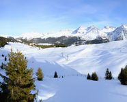 View Arosa Bear Sanctuary