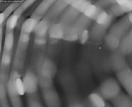 Ritzhagen Lift: Restaurant