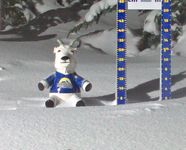 Settled Base Sunshine Village