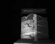 Snow Stake Winter Park