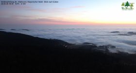 Tree Walk in Sankt Englmar