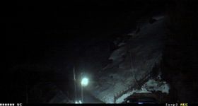 Vent - Geierwallihof