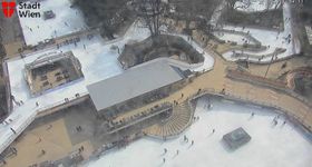 Vienna - City Hall Park