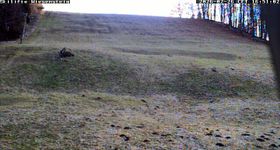 Webcam zeigt die aktuelle Schneelage in Wiesensteig Bläsiberg
