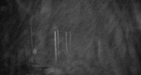 Webcam zeigt die aktuelle Schneelage in Mt. Olympus