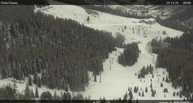 View of the Piavac slope, Alpe Lusia