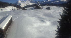 Arosa