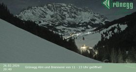 Grünegg Alm in Dienten