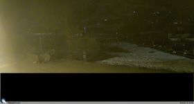 Adelboden: Blick Hotel Alpina zum Weltcuphang