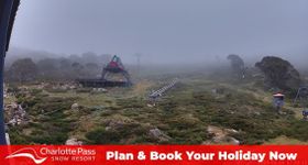 Webcam zeigt die aktuelle Schneelage in Charlotte Pass