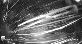 Kniebis Cross country ski trail