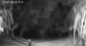 Ladurns: Piste an der Ladurner Alm