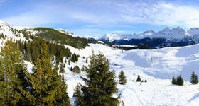 View Arosa Bear Sanctuary