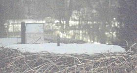 Bayerischer Wald: Blick auf das Storchennest in Grafenau