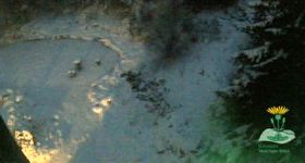 Oberhof - View Botanic Garden